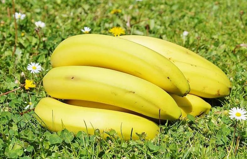 How Many Bananas in a lb? Everything You Need to Know