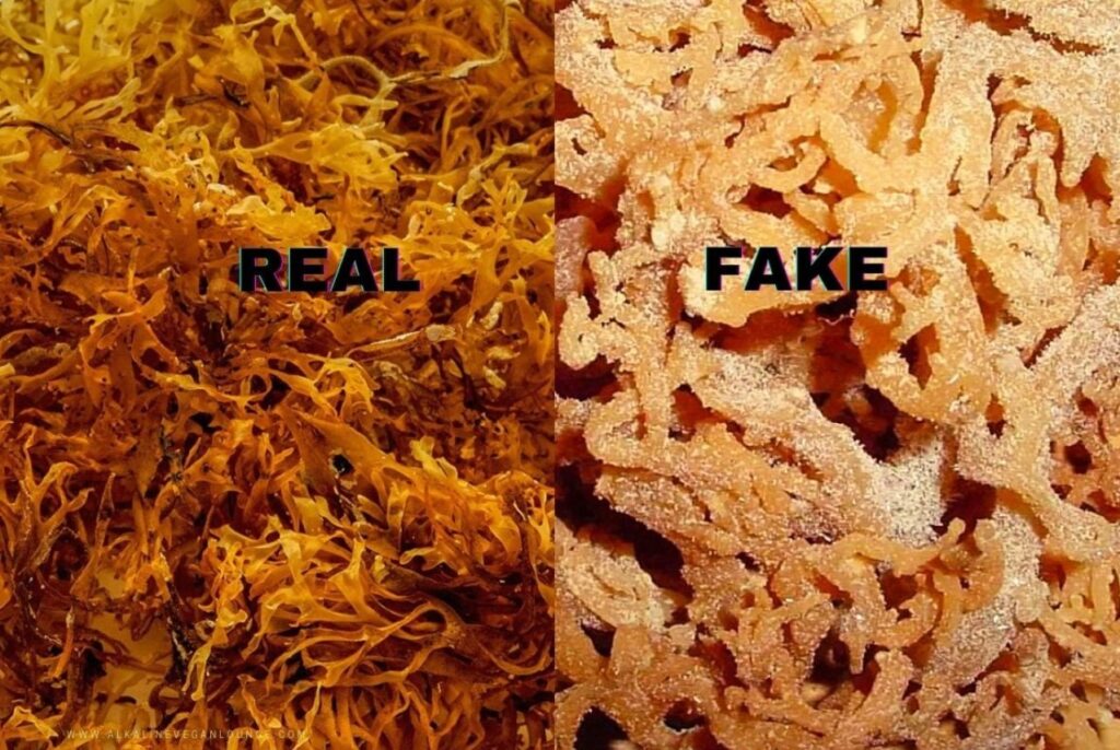 how to spot fake sea moss gel