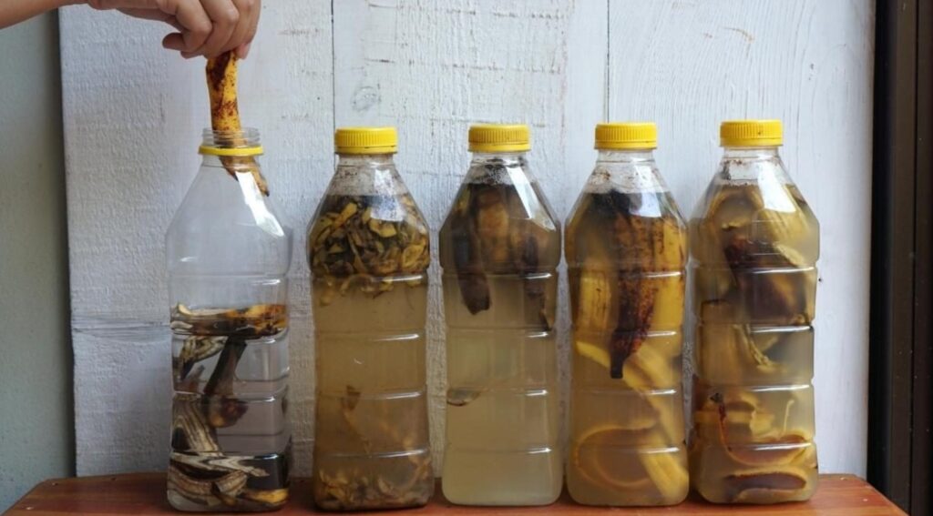 how to make banana water for plants