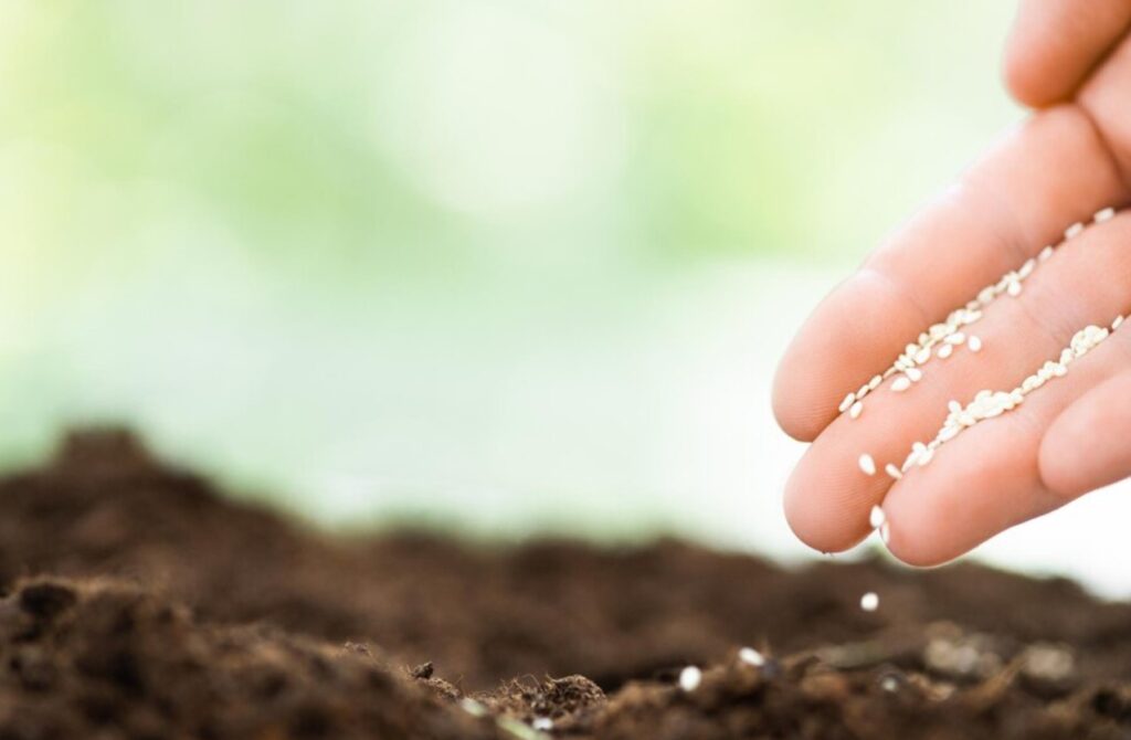 Soil health and fertility