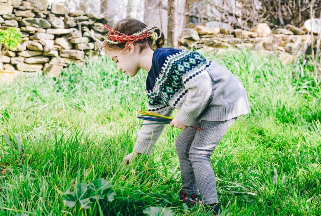 Native Wonders: The Beauty of Native Plant Gardening 4 remove any weeds and debris from the planting area