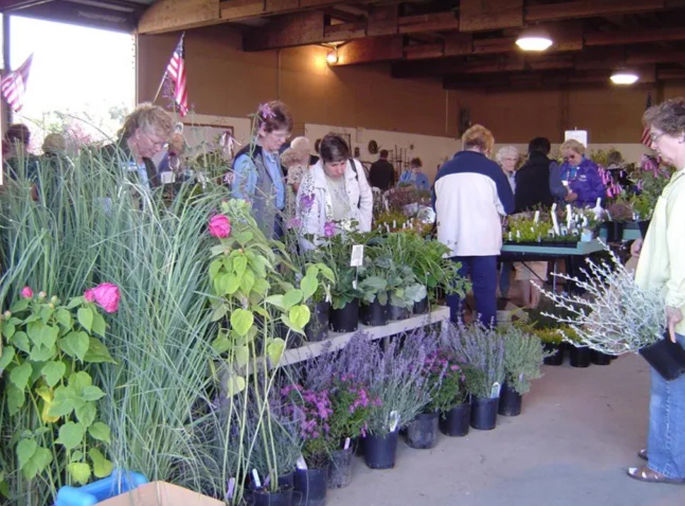 Fall is the perfect time to get your garden ready with local plant sales