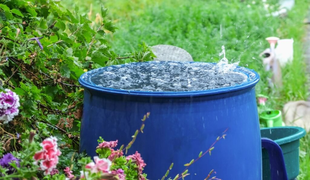 How to Use a Rain Barrel Without Making These Common Mistakes