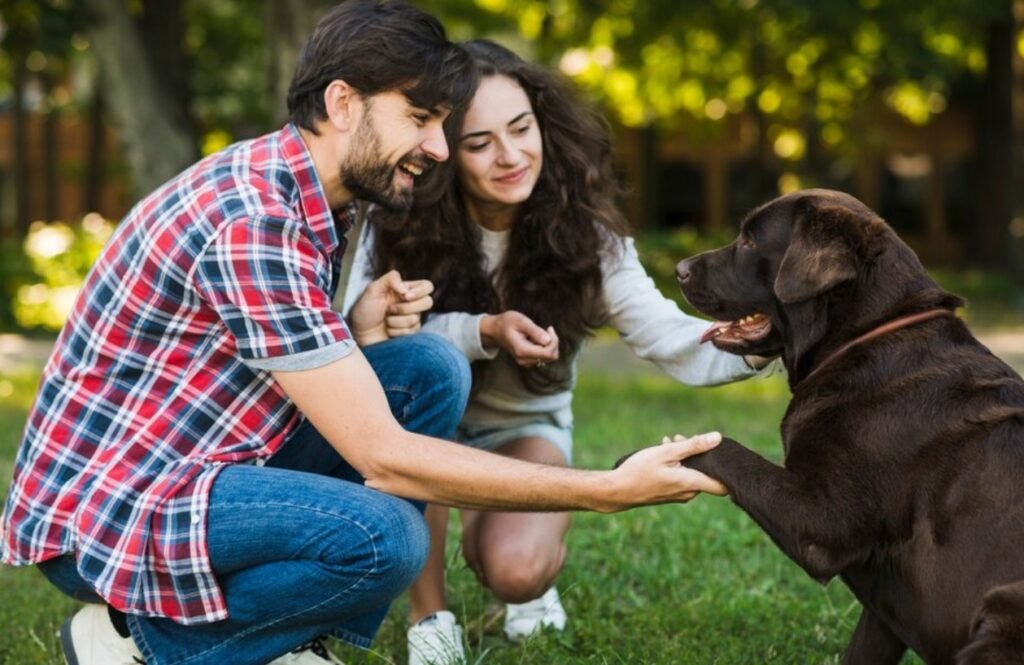 How to show your pet you love them, according to a new survey