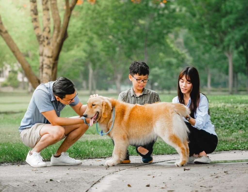 Taiwan’s Pet Boom How Furry Friends Outnumbered Kids