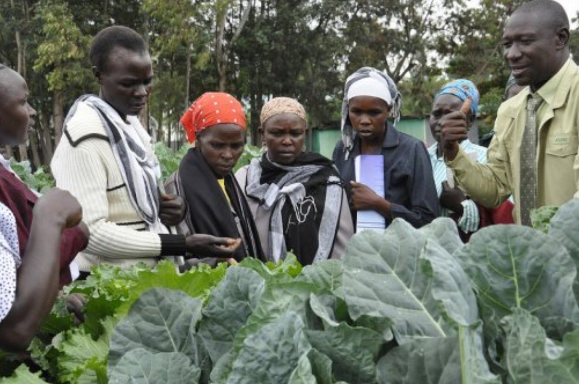 Empowering Women: A Sustainable Solution for Climate Change