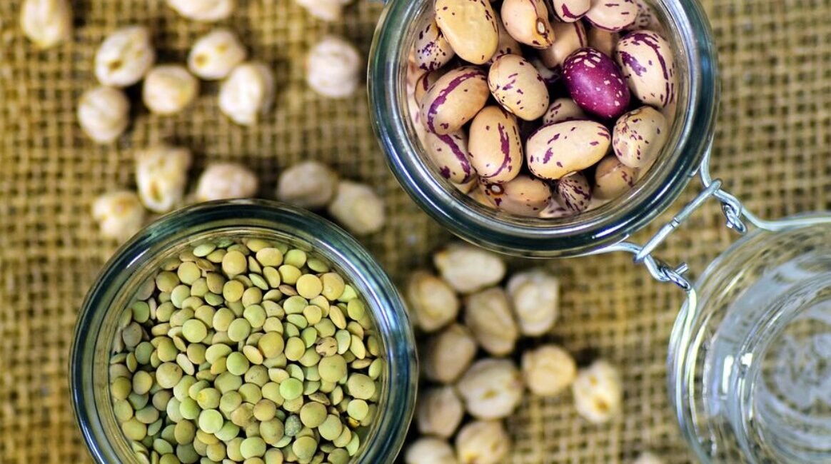 plant-based protein