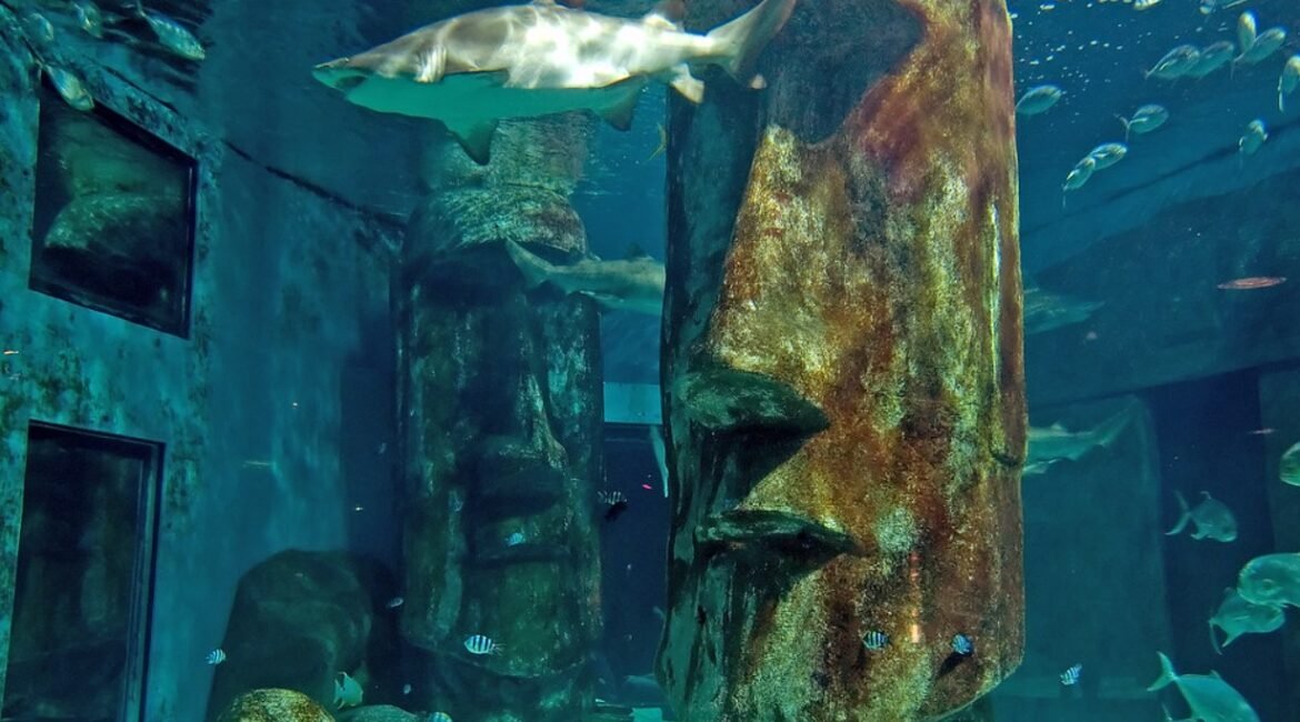 Britain’s Aquarium