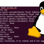 Backdoor Discovered in XZ Utils: A Warning for Linux Distributions
