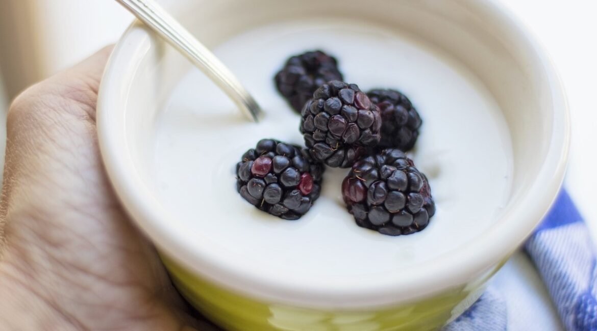 yogurt